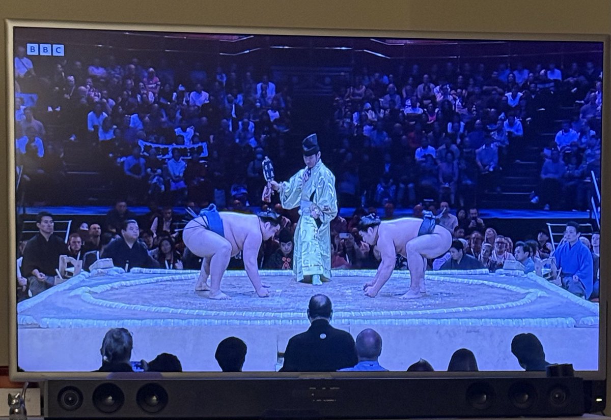 I don’t understand what’s going on but sumo is still fun to watch