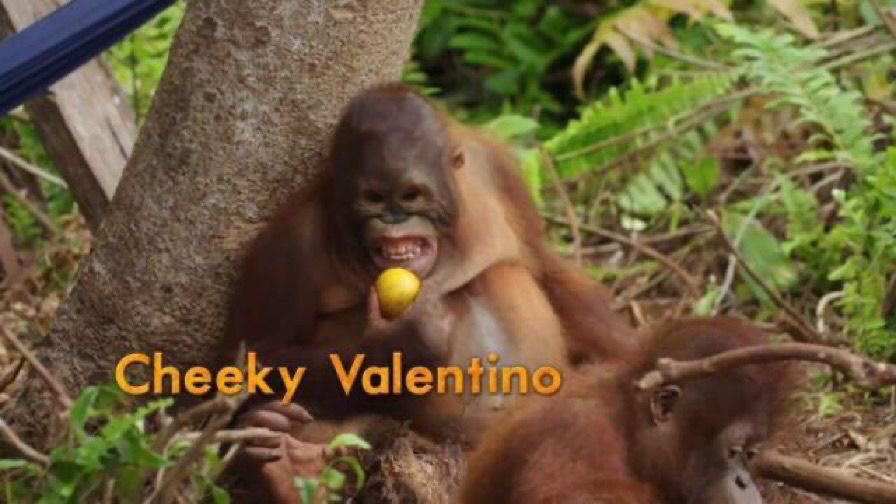 oooh cheeky…