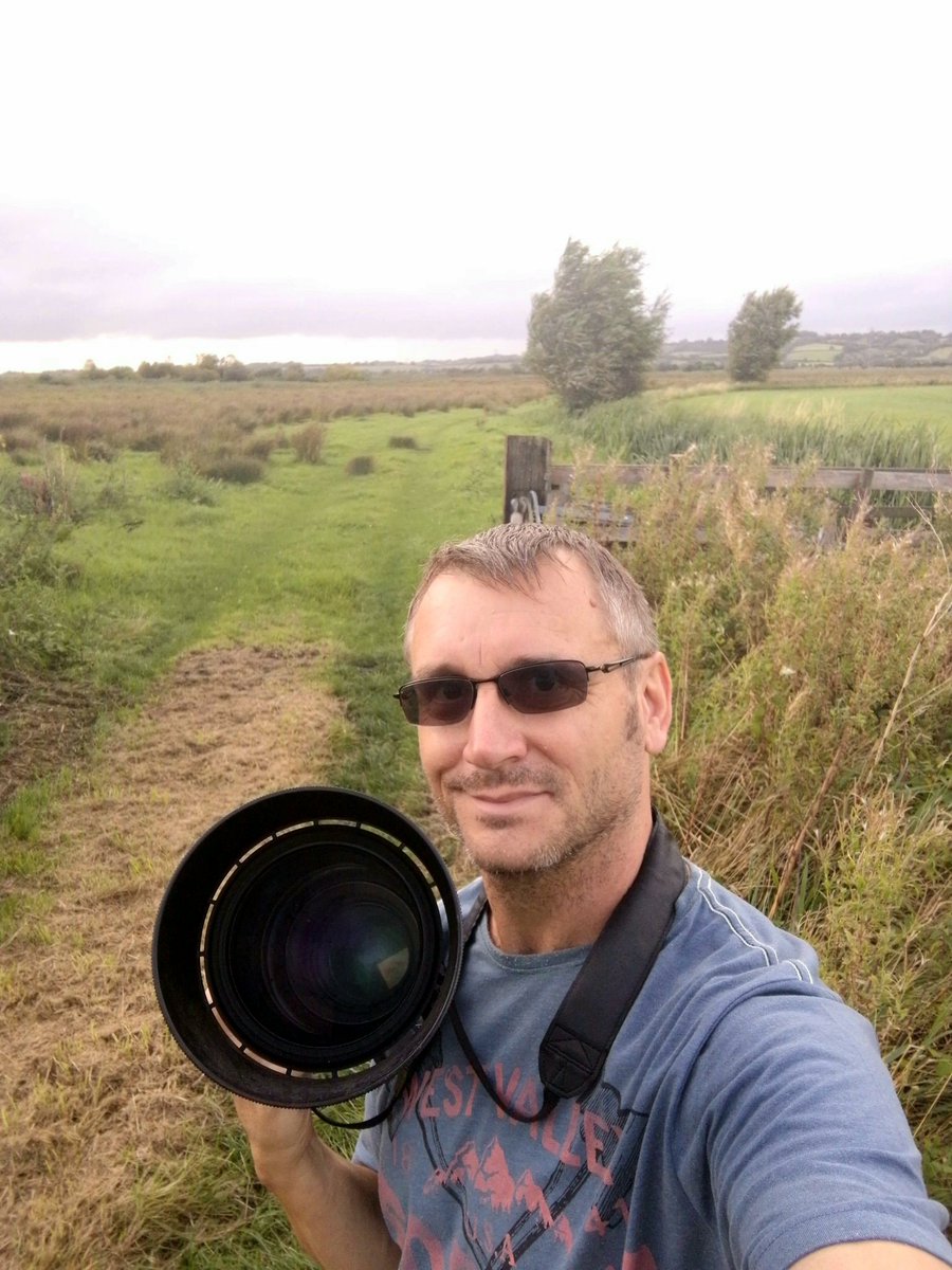 Carl Bovis tweet media