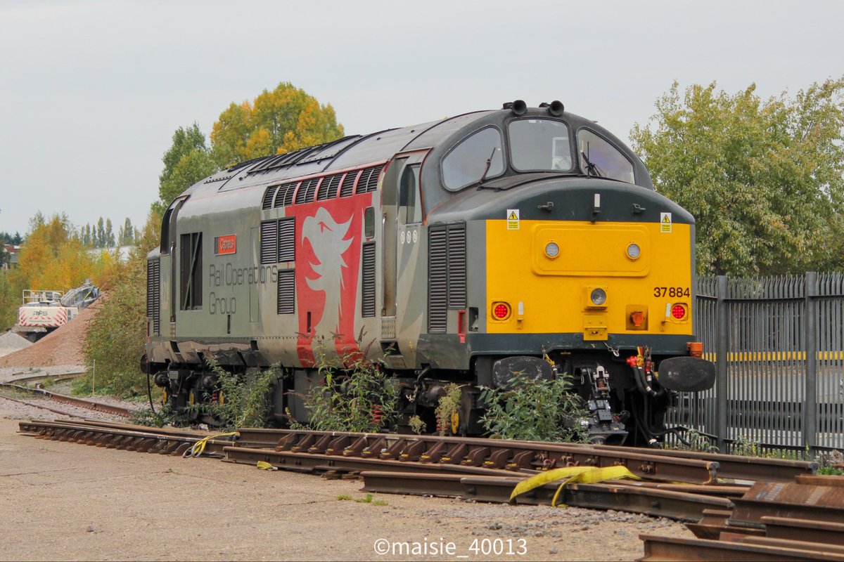 maisie_40013's tweet photo. Some more photos of 37884 “Cepheus” sat in Northampton Castle Yard. 18/10/25 #class37 #railopsgroup #tractor @TheGrowlerGroup https://t.co/inoktXsd9u