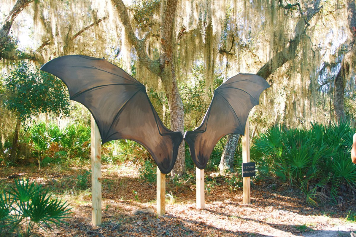 Conservation Florida tweet media