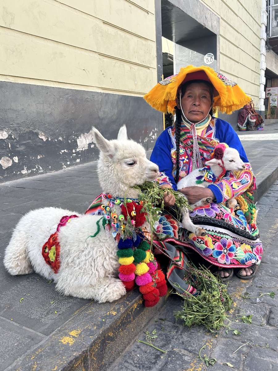Toda una historia detrás de esta escena. Mientras la madre come alfalfa, la pastora adorna a su llamita con un collar para que salga hermosa en la foto. Cuánta ternura y antigua estirpe americana. #Arequipa #Perú