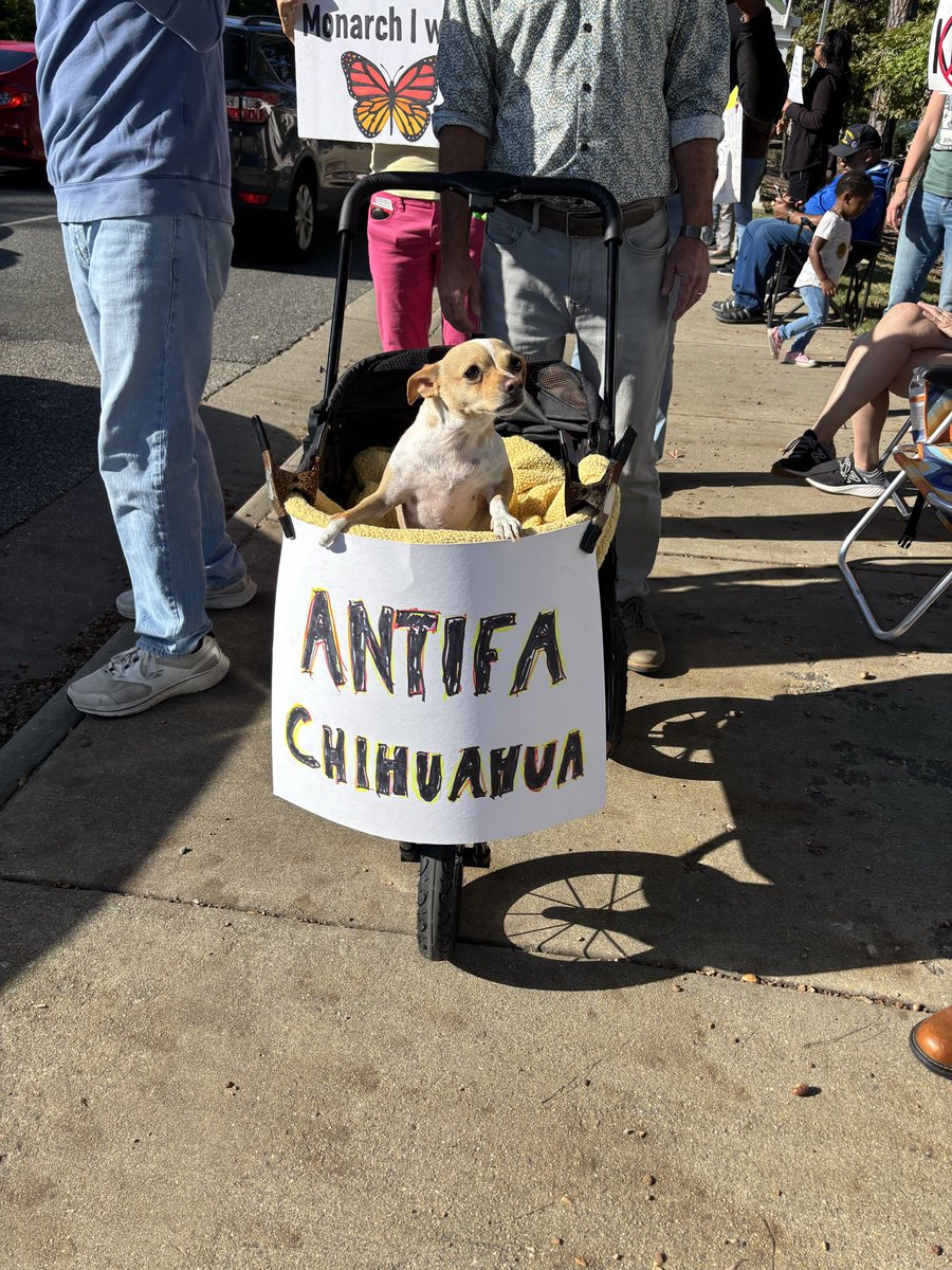 From No Kings in Newport News,Virginia