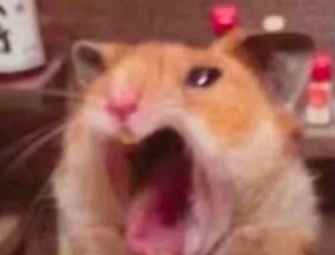 زعلي ججداً جددا  شيييييينً  وماحب هذا الشي ياررربي