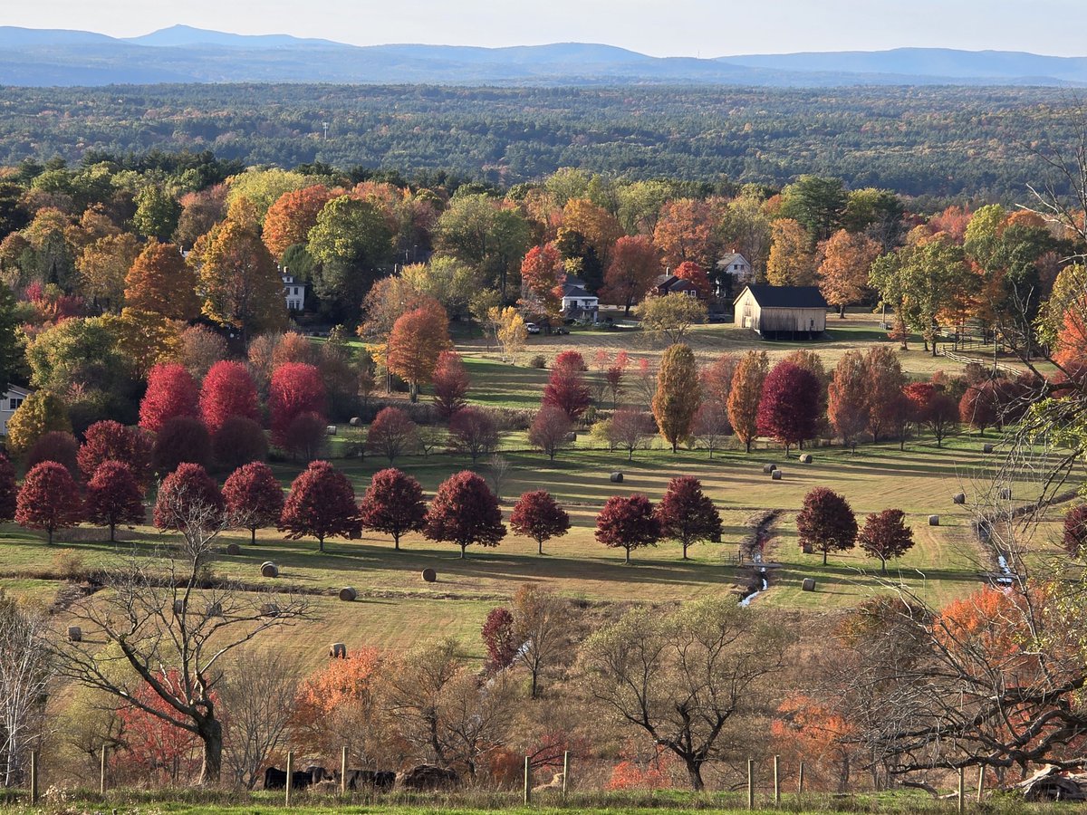 ericfisher's tweet image. October in New England. Undefeated.