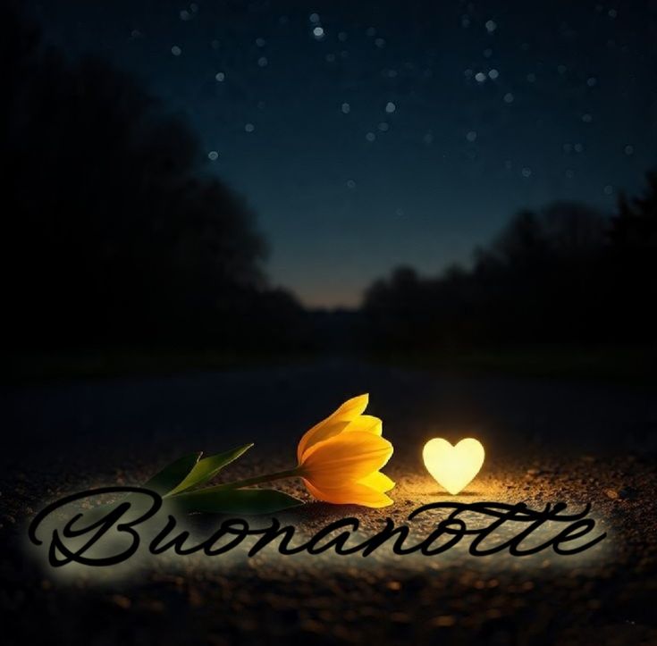 Vi auguro tanti sogni belli ovviamente 
🌛💛🌼