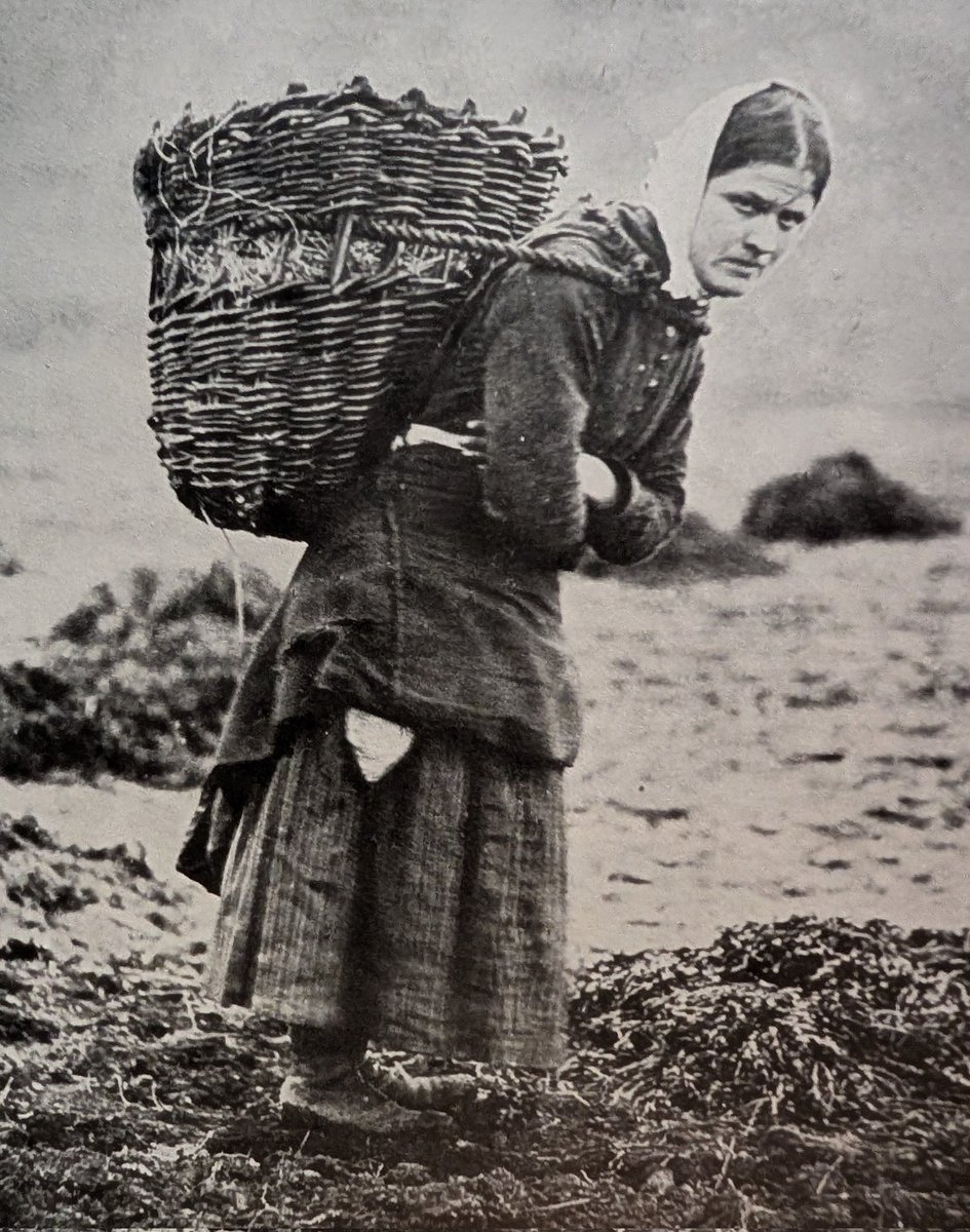 Bringing home the peats. 
Skye, 1890.