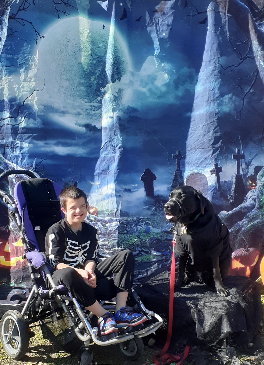 Just rolling around the Children's Safety Village at the Autism Dog Services 🐕 
Celebrating Halloween 🎃