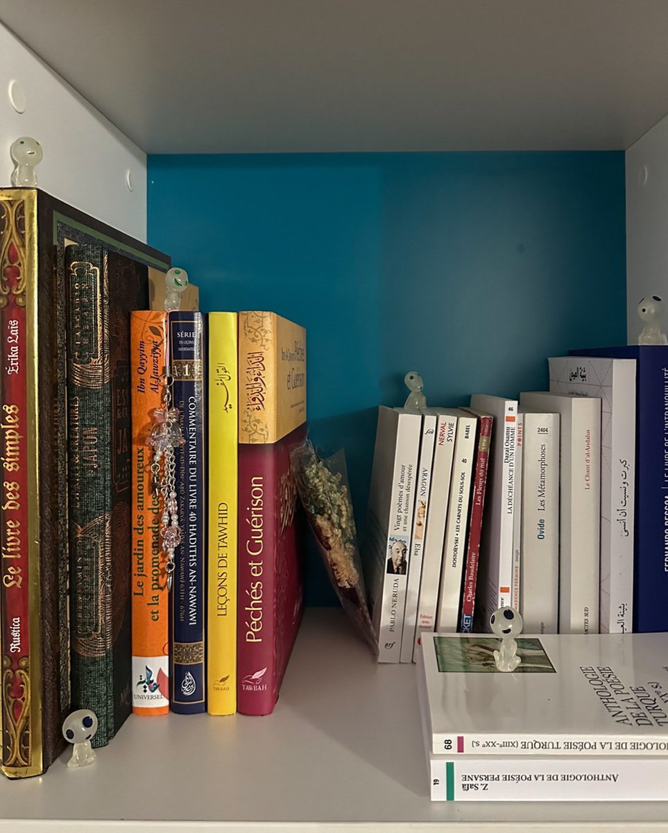 𓂃 ོ𓂃 tweet media