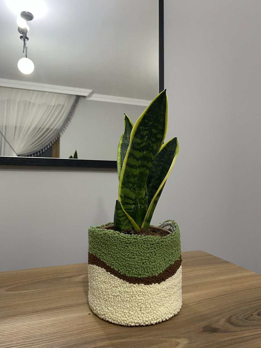 Çabuk saksı kılıfıma bakın 🫠