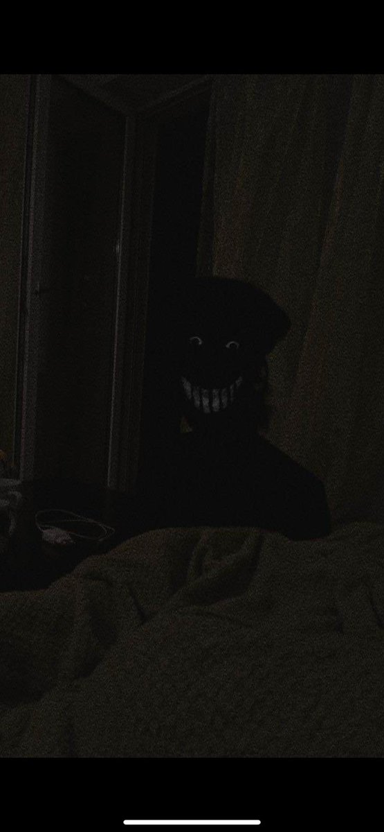 アガベ SAD アガベ SAD（南アフリカダイヤモンド） | STELLA.PLANTS