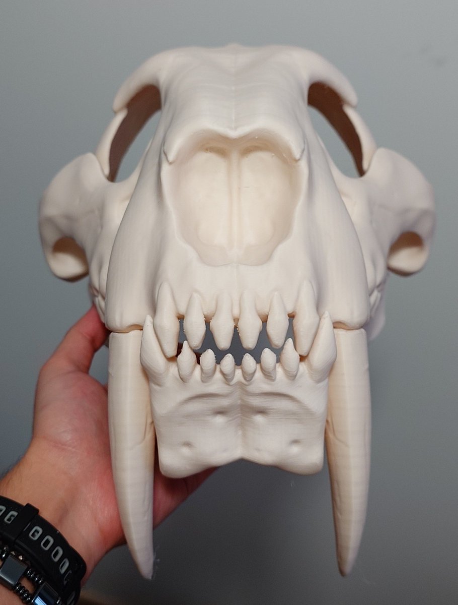 Ligris Cybernetics tweet media