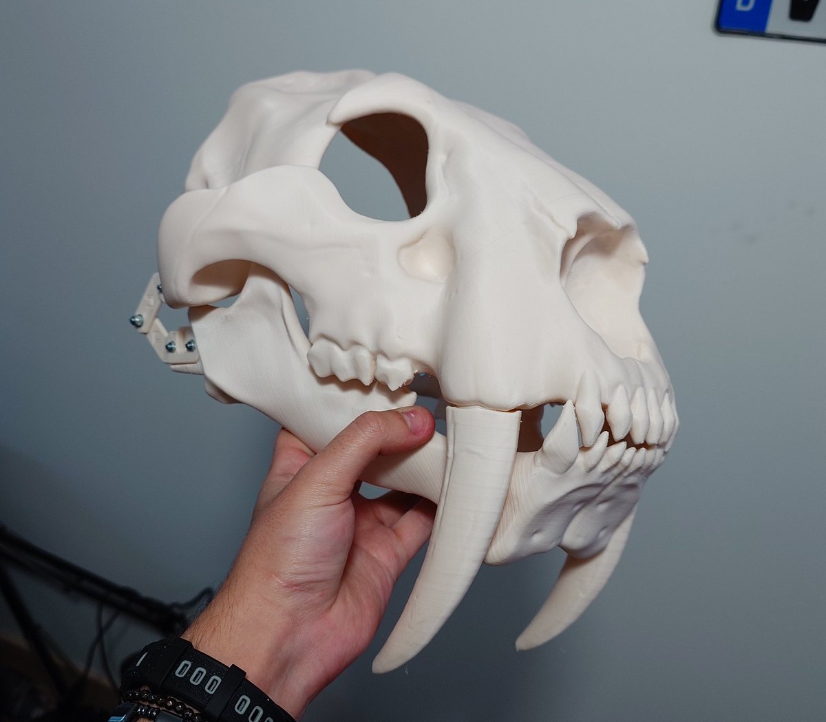 Ligris Cybernetics tweet media