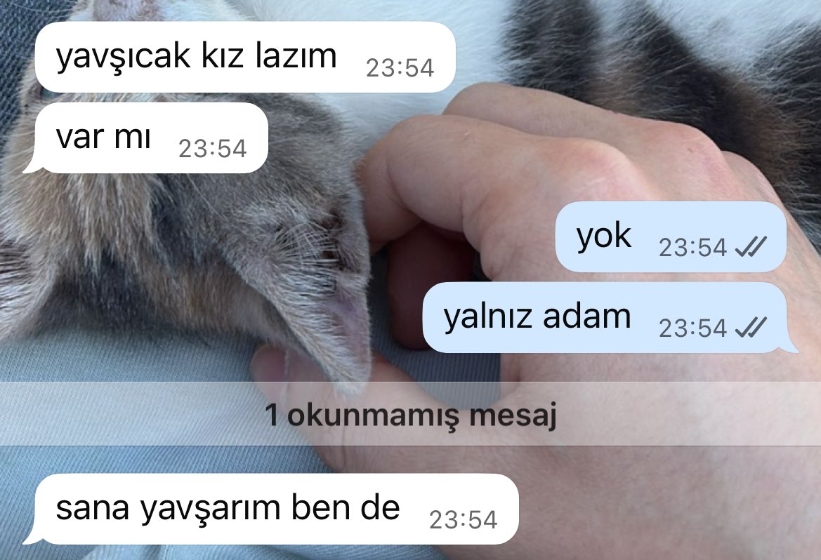 madem yavsıcak kız yok ben de buraya iserim