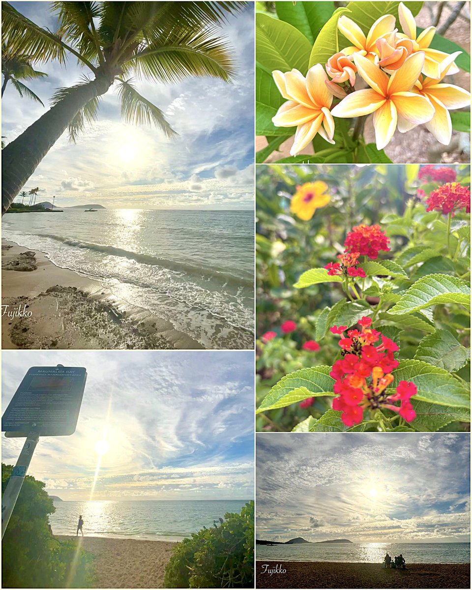hawaiifujikko's tweet image. 🏝️ Hawai’i
𓏸𓐍𓇥 𝐻𝒶𝓋𝑒 𝒶 𝓌𝑜𝓃𝒹𝑒𝓇𝒻𝓊𝓁 𝒹𝒶𝓎 𓈒𓂂𑁍💐