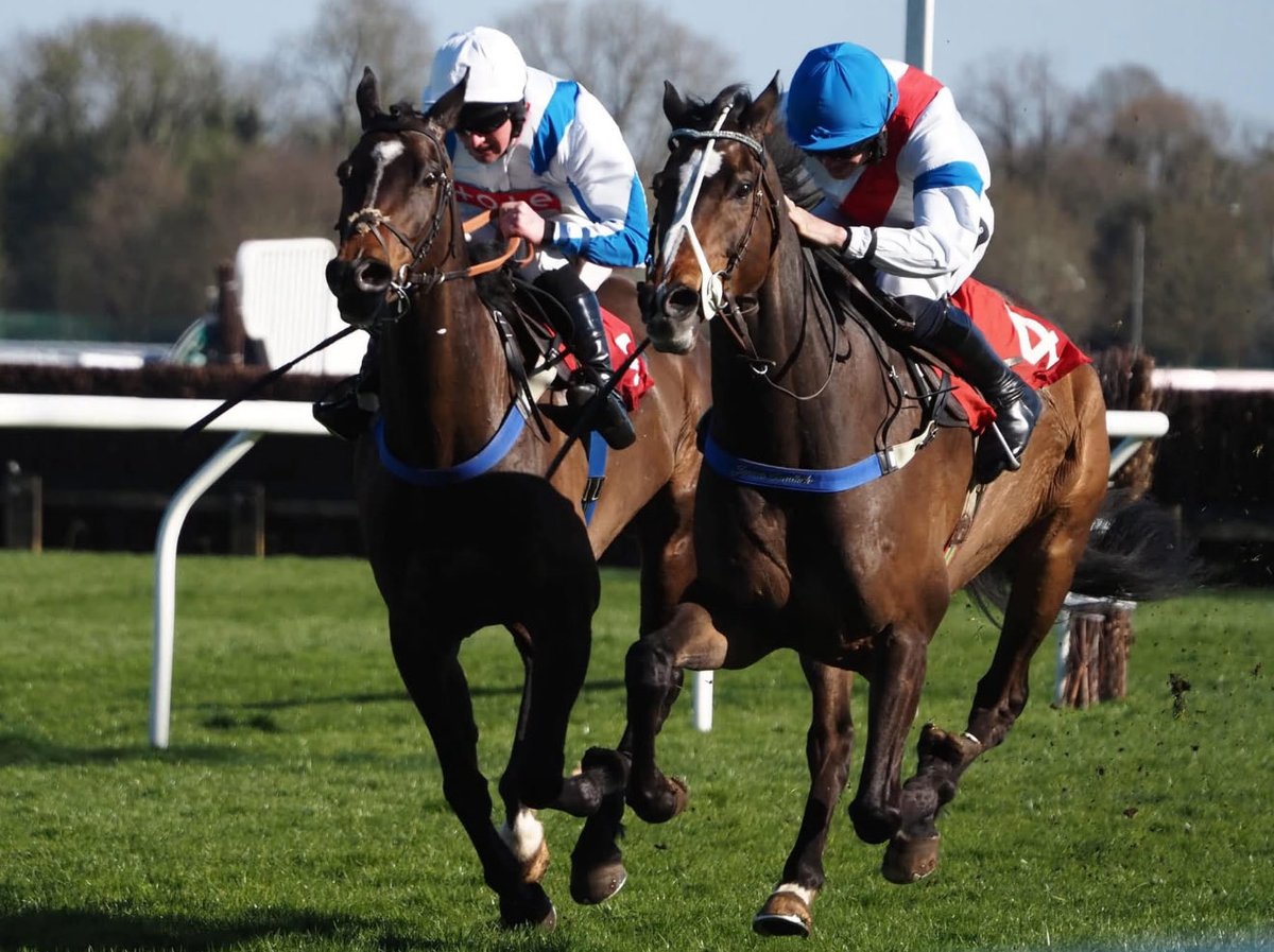 My Nap of The Day Tomorrow 

13.46 Kempton

As fast as Wind 13/2 ⭐️⭐️⭐️⭐️⭐️⭐️

I think she can go very close here.
Hopefully will settle better and have the stronger finish.