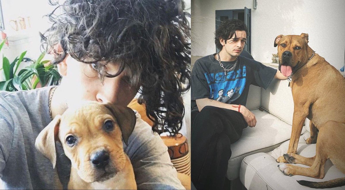 Allen walked so Priest could run … 🥺💟 x