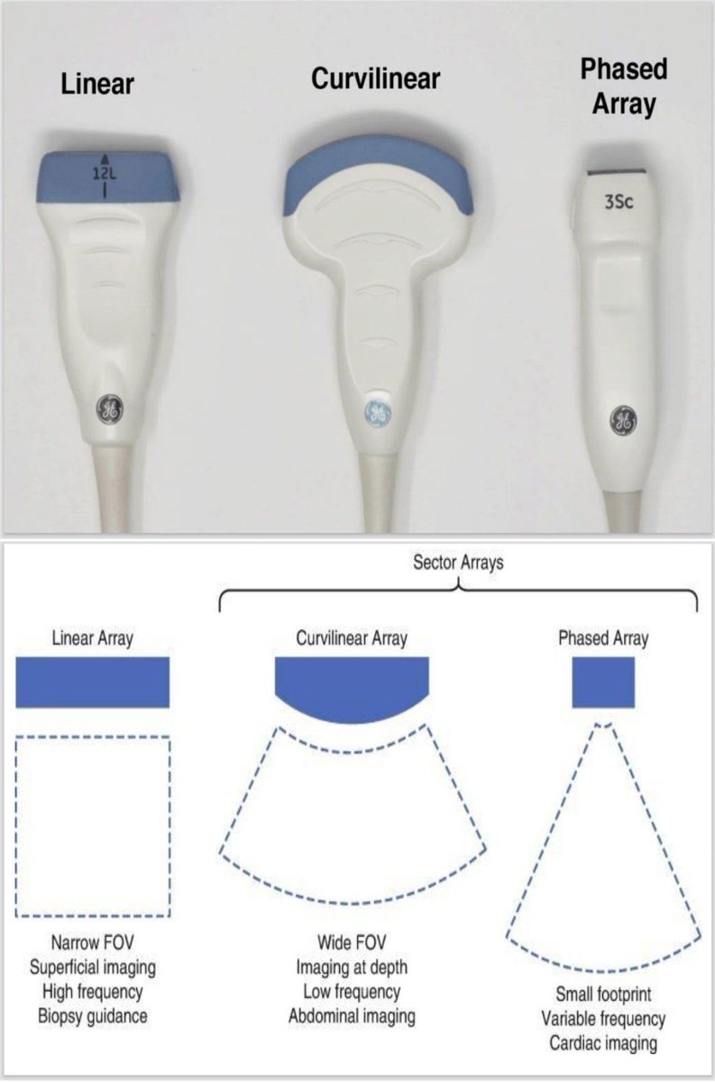 🔊𝗧𝗶𝗽𝗼𝘀 𝗱𝗲 𝘁𝗿𝗮𝗻𝘀𝗱𝘂𝗰𝘁𝗼𝗿𝗲𝘀 𝗲𝗰𝗼𝗴𝗿𝗮́𝗳𝗶𝗰𝗼𝘀💻
⬇️⬇️⬇️⬇️ 

✅ 𝙇𝙞𝙣𝙚𝙖𝙡
➜𝘼𝙡𝙩𝙖 𝙛𝙧𝙚𝙘𝙪𝙚𝙣𝙘𝙞𝙖 → 𝙞𝙢𝙖𝙜𝙚𝙣 𝙨𝙪𝙥𝙚𝙧𝙛𝙞𝙘𝙞𝙖𝙡.
➜Campo de visión (FOV) 𝙚𝙨𝙩𝙧𝙚𝙘𝙝𝙤 𝙮 𝙧𝙚𝙘𝙩𝙖𝙣𝙜𝙪𝙡𝙖𝙧.
➜Ideal para: 𝙫𝙖𝙨𝙤𝙨,