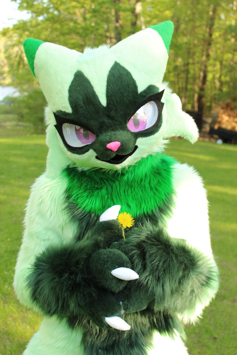 A flower for you 💚