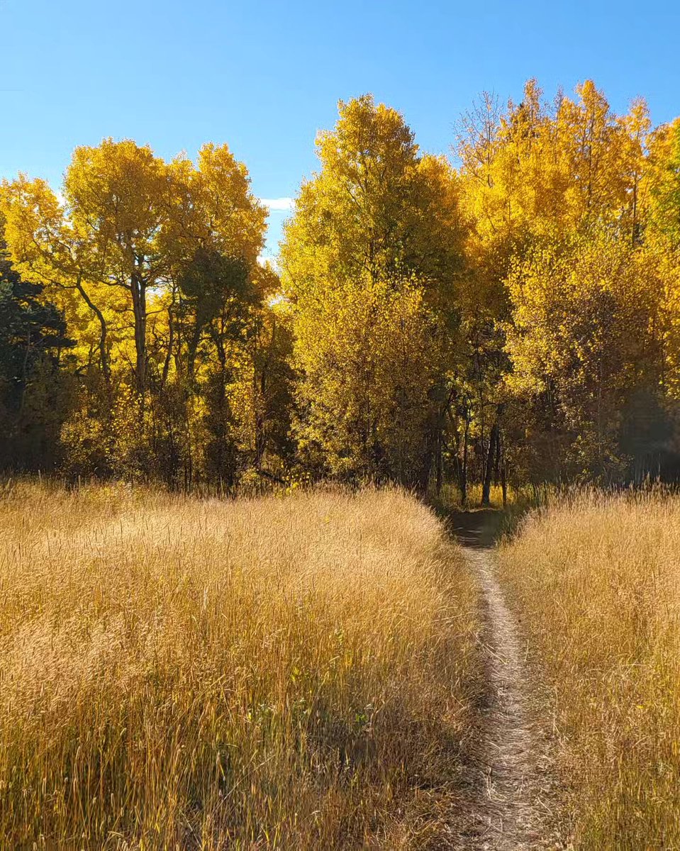Is this the best fall view in Wyoming? 👀

Drop your favorite spot to visit during fall across the state.

Photo by micoud2db [IG]

📍Discover Carbon County, WY 

#ThatsWY