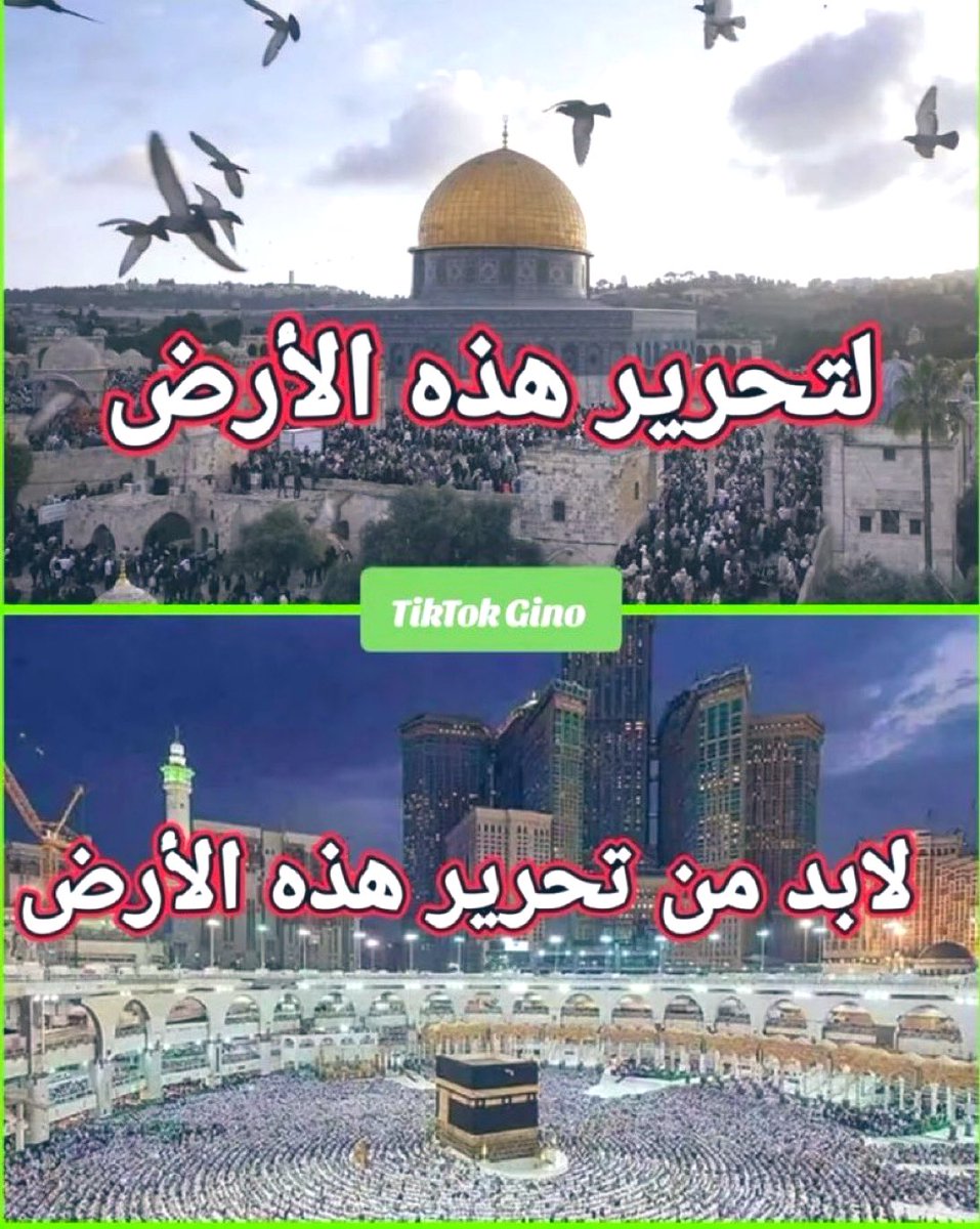 طارق الزهراني (@tariq_uk2) on Twitter photo 