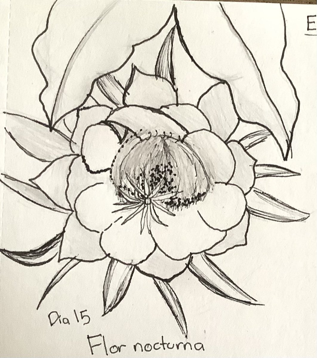 WENDYSUDY's tweet image. Quise intentar en tradicional, aunque en las fotos salen más chuecas de lo que se ven en realidad jaja

#lamiettober #taza #flornocturna