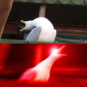 Them: “No kings! No kings! No Kings!”

Me and the boys: *deep breath*

“CROWN HIM WITH MANY CROWNS. THE LAMB UPON HIS THRONE!”
