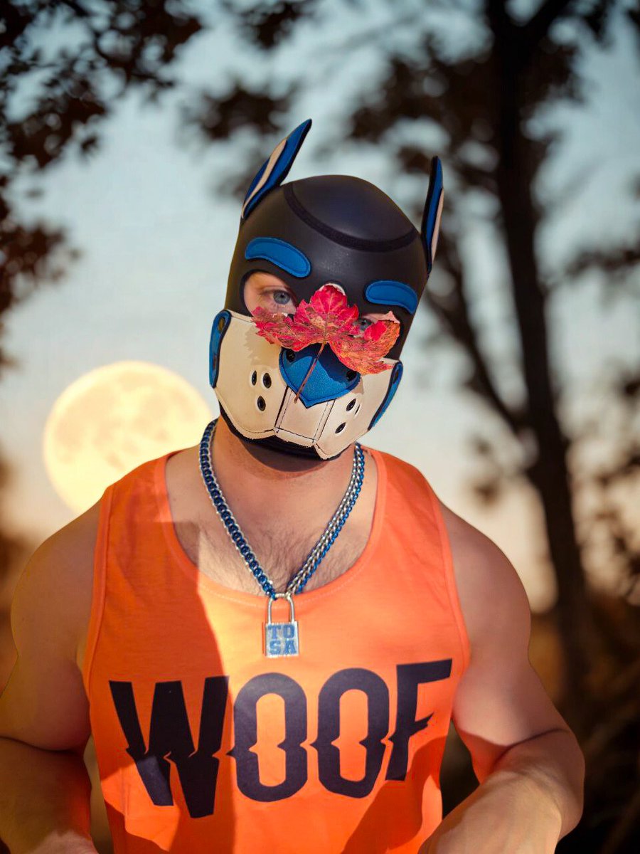 Still thinking about my Halloween Costume, maybe a Werewolf 🐺🌕 Gladiator or Spiderman, What about you?