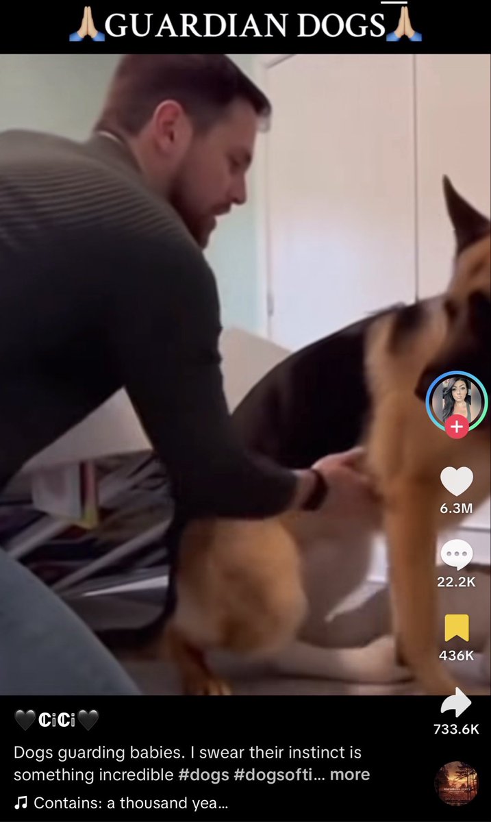 Obviously AI TikTok gets 6M likes and half the comments don’t even know

If you still don’t know how to detect AI by now ur already fucking cooked

Quit ur job and let ai replace you bro