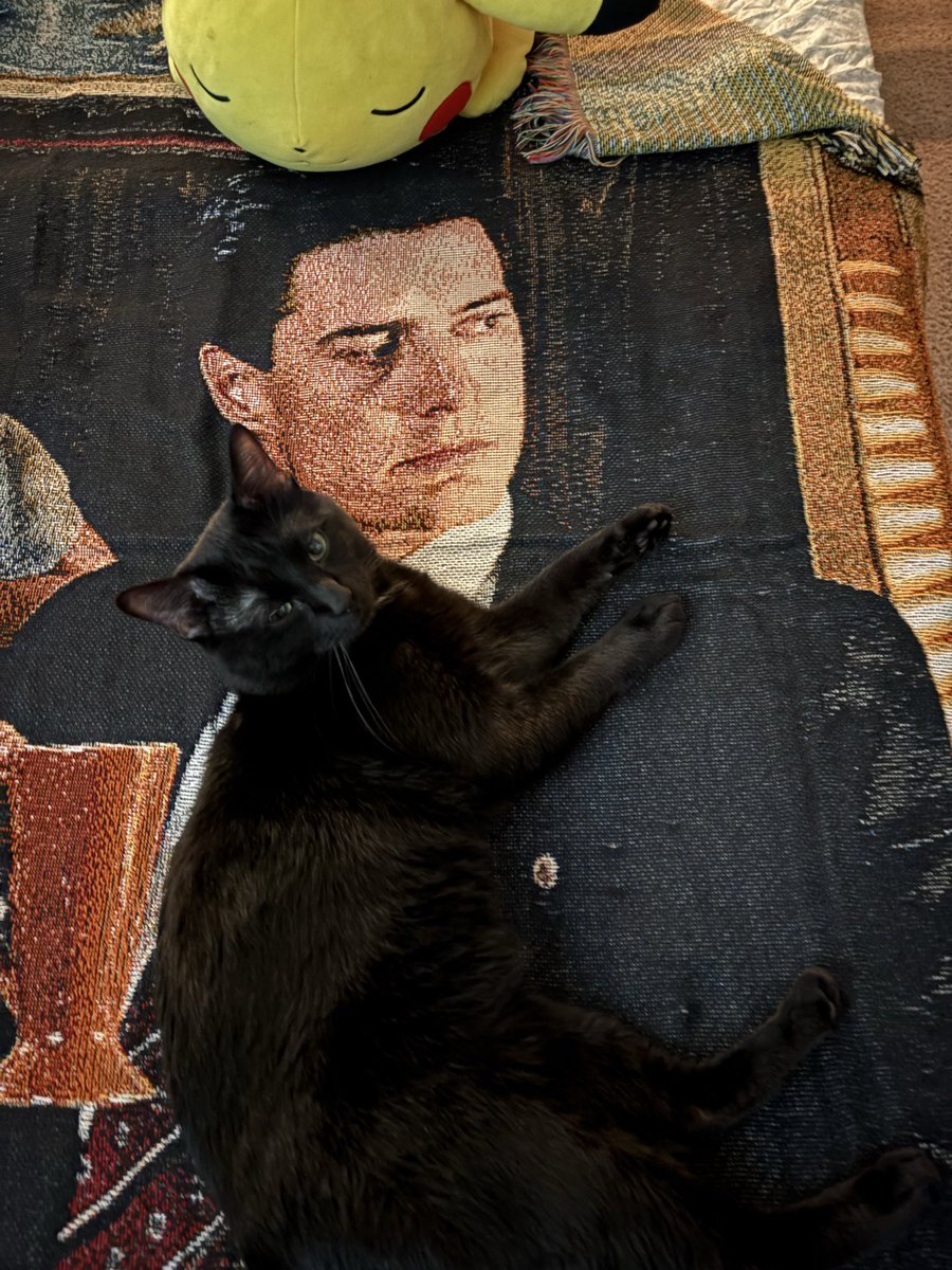 fobsbian's tweet photo. My cats and this throw blanket https://t.co/EAgYj4otbY