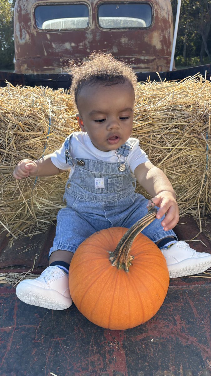 Domo🤴💫 tweet media