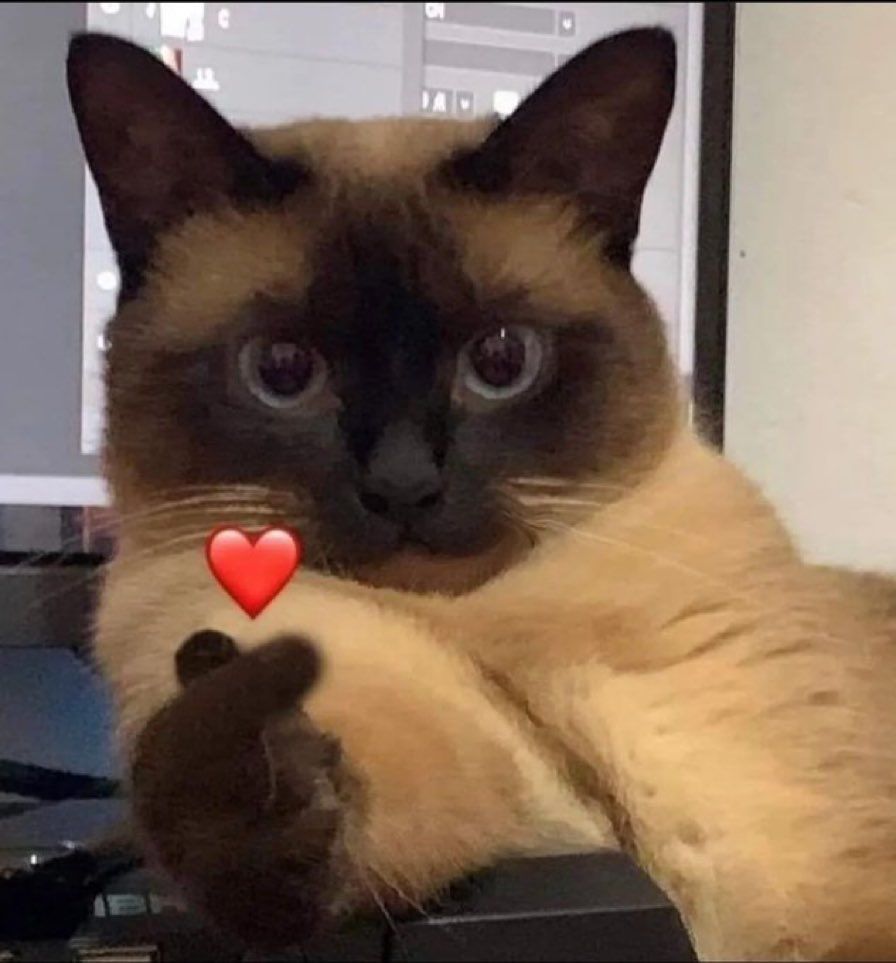 Miaw's tweet photo. For you. https://t.co/a0VuHvOWGA