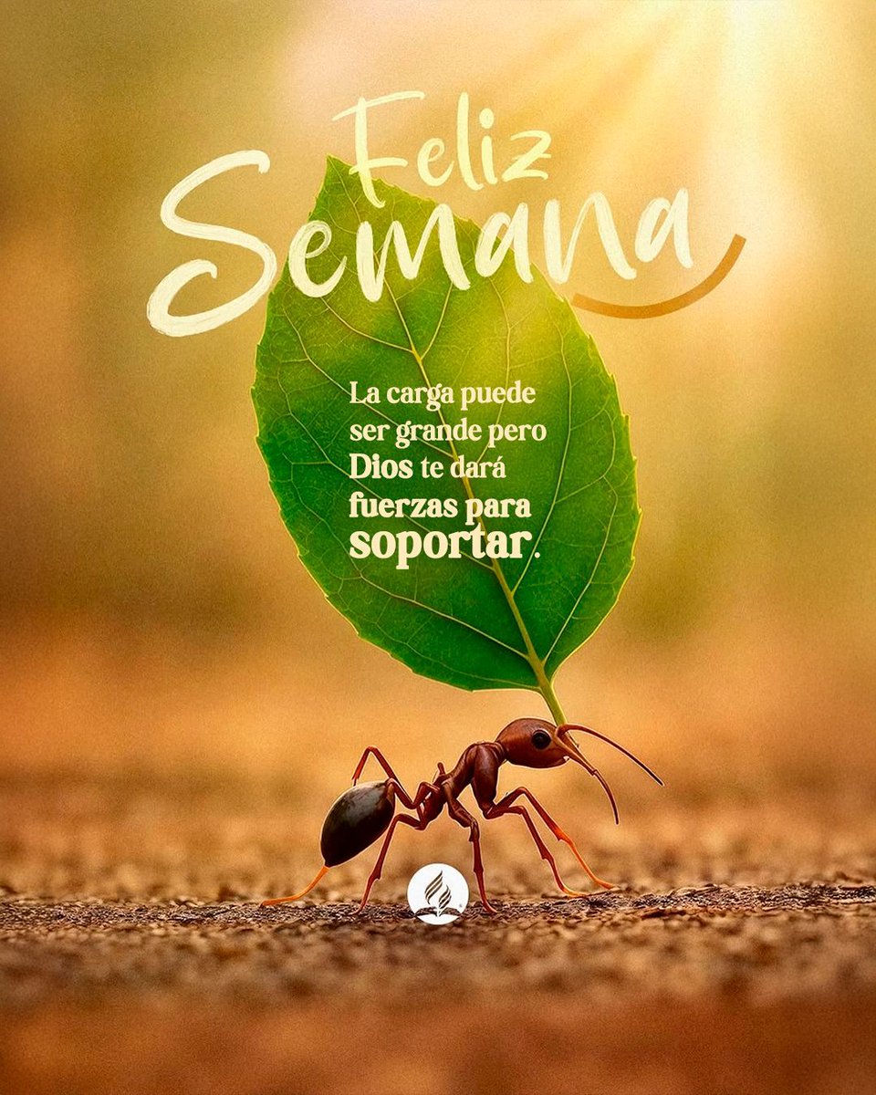 iasdsudamerica's tweet photo. 🌿 Que esta nueva semana traiga esperanza y la certeza de que Dios cuida de ti. 💛
A veces la vida pesa, pero no cargas solo: Él te sostiene y renueva tus fuerzas. 🙏✨
📖 “Entrega tus cargas al Señor, y Él cuidará de ti.” — Salmos 55:22
#FelizSemana #Fe #Esperanza https://t.co/AbJP6BqCen