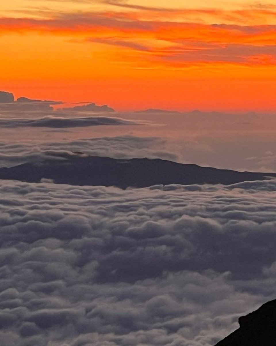 Tripadvisor's tweet image. Anyone else get the urge to climb to the highest point in Hawaii to watch the sunset? tripadv.sr/4930teU