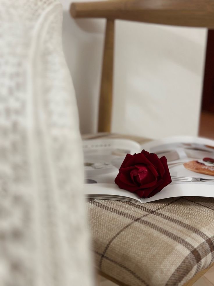 في الركن البعيد الهادي  …

🎼♥️