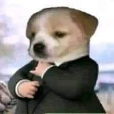 Chris 🦆 - 🍭 #TeamKintoki 🪓 tweet media