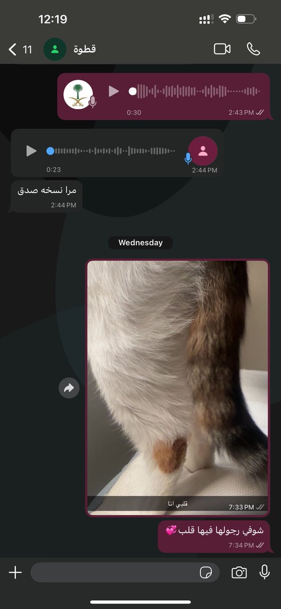منى tweet media