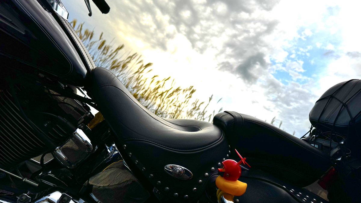 今日はバイクやな