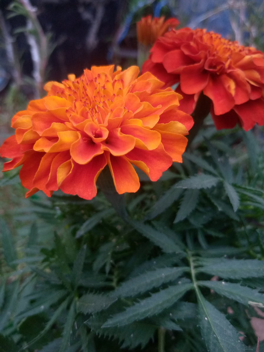 لاتعطي قيمة لمن لا قيمة له  فكل شخص بأفعاله يحدد مقامه ،،،،،من تصويرة 📸