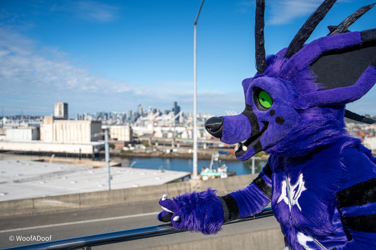 zerocruxgiven's tweet image. Dude, I think I can see my house from here!