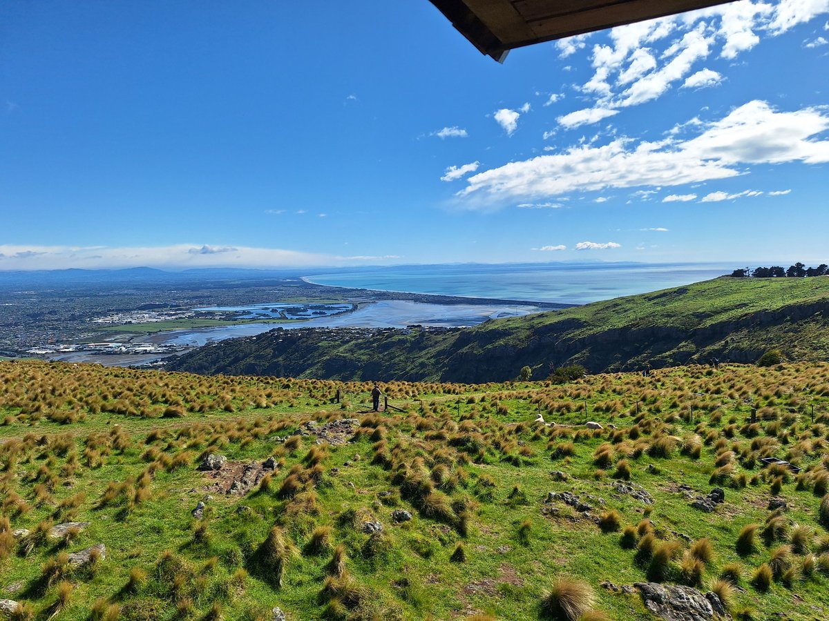 South Brighton view from gondola