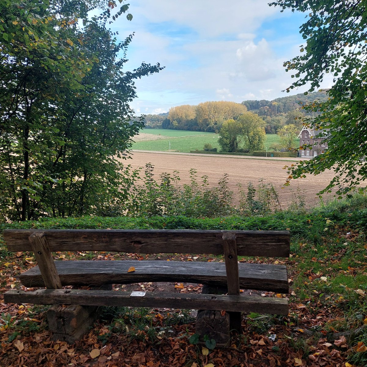 Herfst in het Kannerbos met zicht op de Sint Pietersberg.