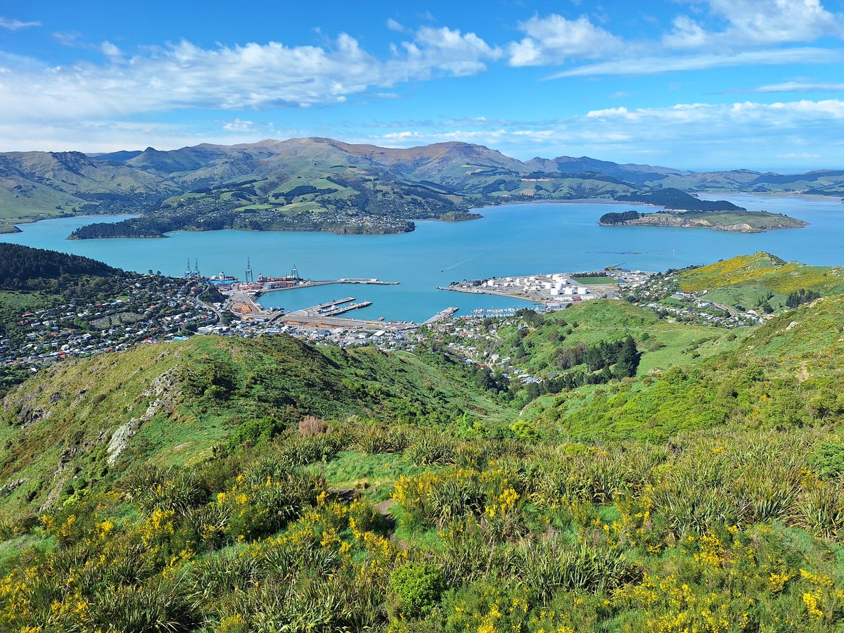 Lyttleton harbour view from gondola