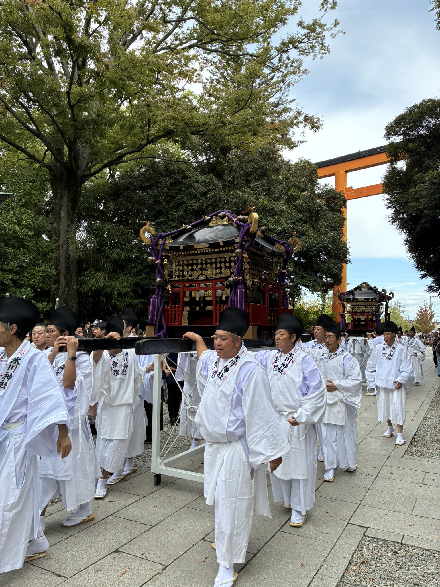 こみつさま確認ページ♡ ハシモトミツ (@hsmtmtmtmt) / X