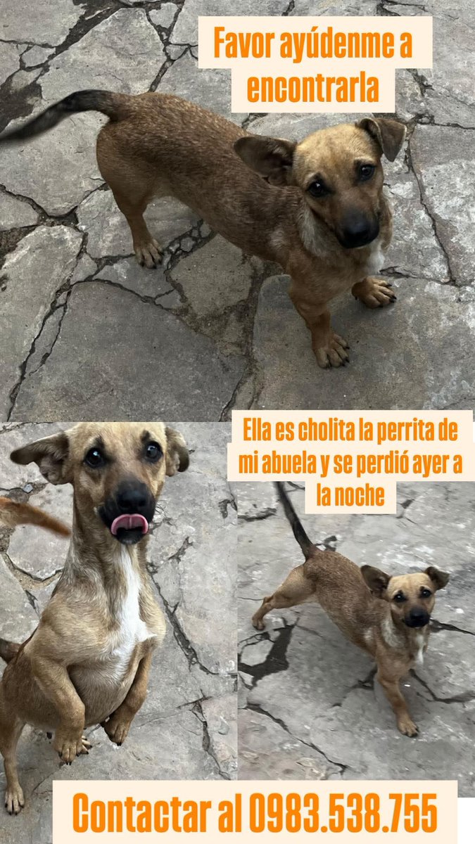 Retener a Cholita por si le vean!!!! 🙏🙏🙏🙏