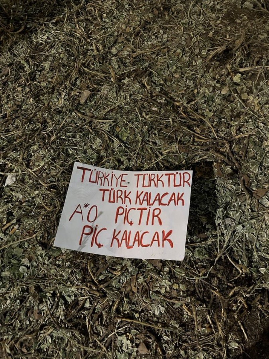 APO PİÇTİR , PİÇ KALACAK.