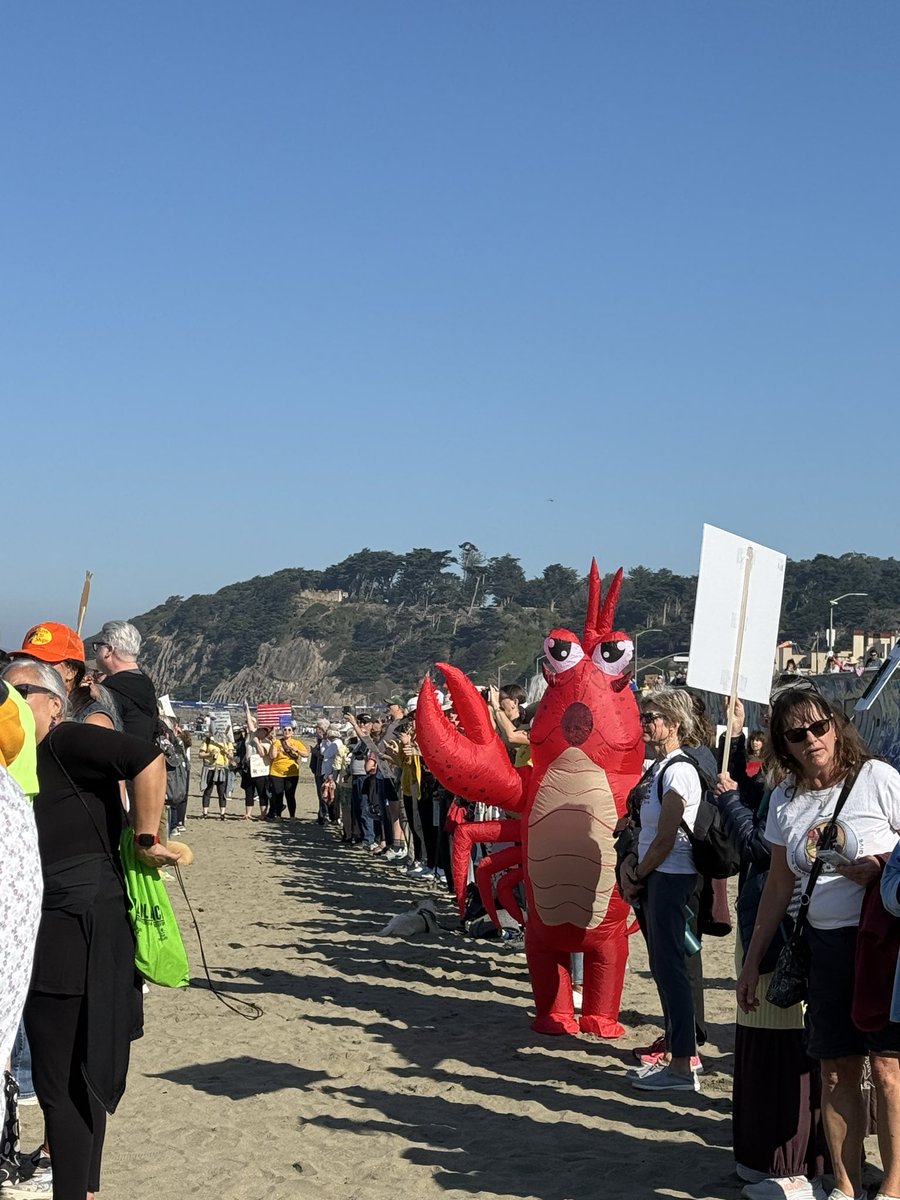 Leigh Anne Varney tweet media