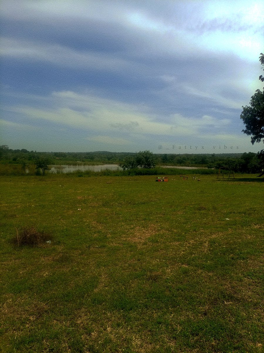 Fattyx_vibes's tweet image. A day at the park

#nature #NaturePhotography #NatureBeauty