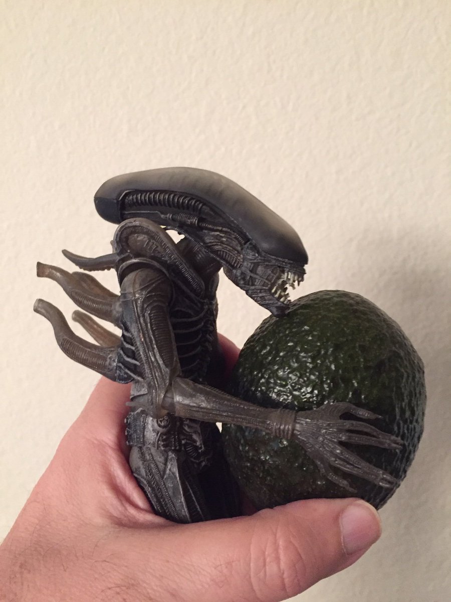Ya know, if you look too closely at an Avocado, it begins to look uncomfortably like a Xenomorph egg...