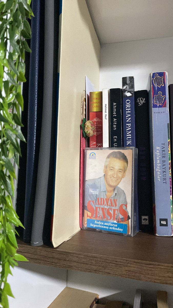 AuuuuCy's tweet photo. Orhan Pamuk- yeni hayattan Adnan Şenses’e uzanan ikonik kitaplığım https://t.co/EAoMmRHmQs